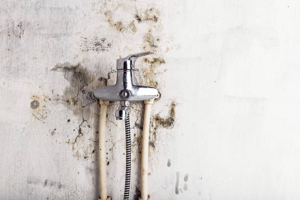 Best Residential Mold Remediation in Concord, VA