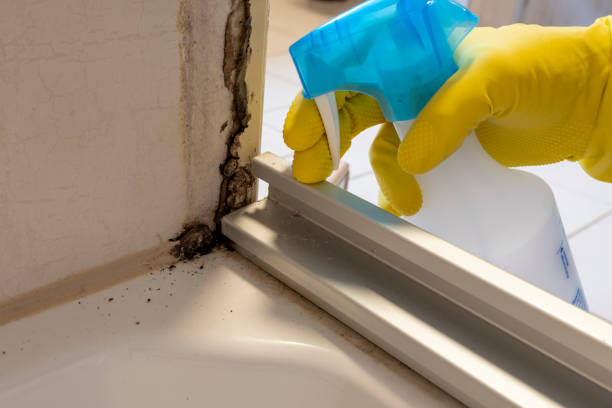 Best HVAC Mold Remediation in Concord, VA