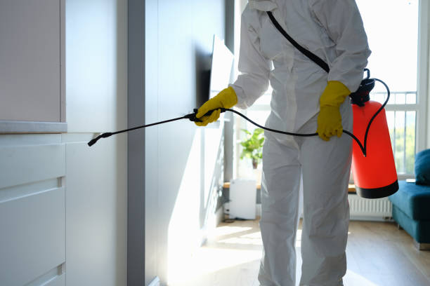 Best Mold Remediation for Specific Building Types in Concord, VA