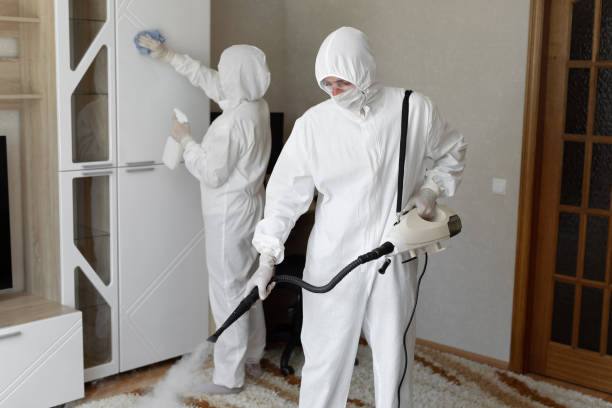 Best Mold Testing and Inspection Services in Concord, VA