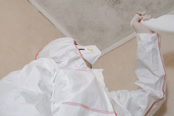 Best Post-Remediation Services in Concord, VA