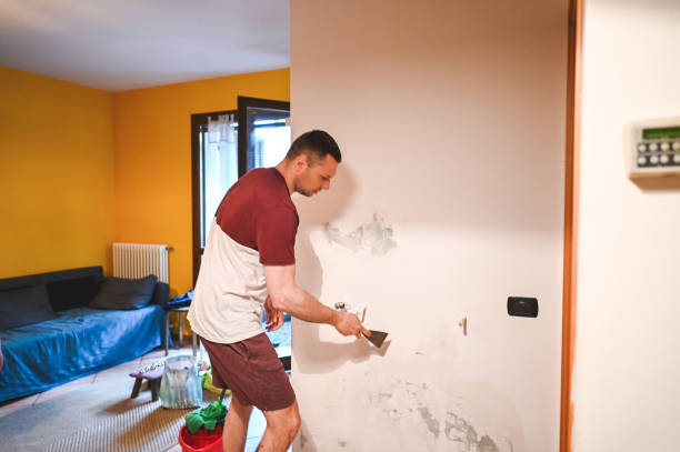 Best Residential Mold Remediation in Concord, VA
